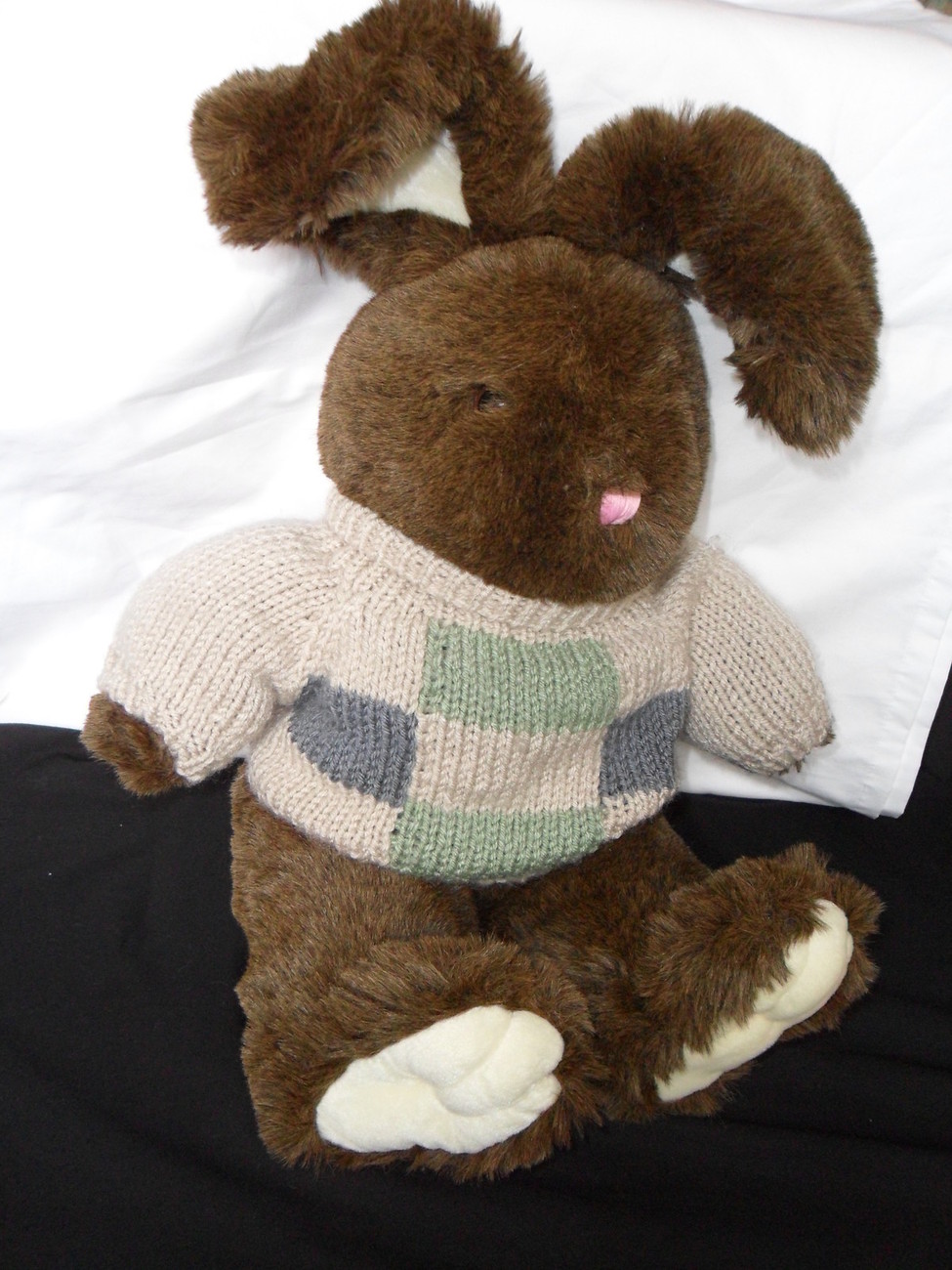 dan dee bunny security blanket