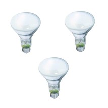 Westinghouse 03954 100 Watt Rough Service Light Bulb 120v
