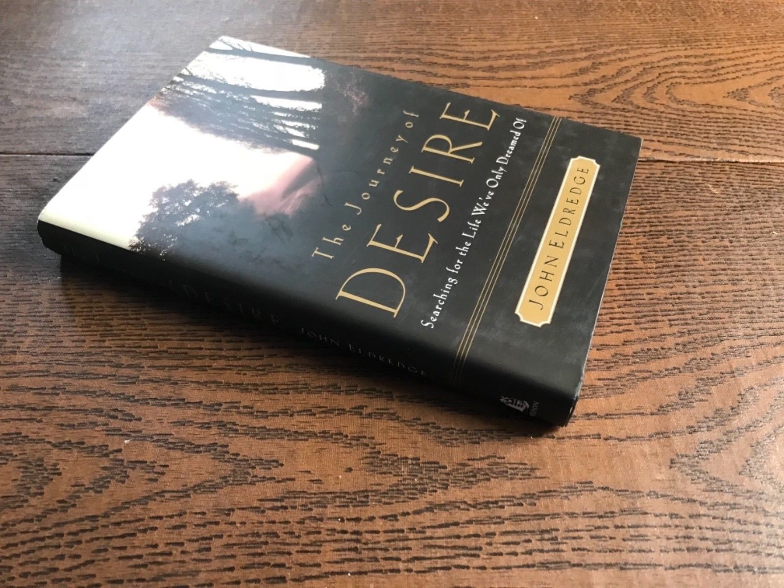 The Journey of Desire by John Eldredge- 9780785268826 ...