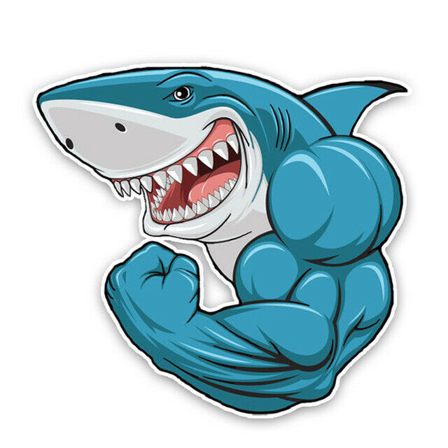 Car Sticker Cartoon Muscle Shark 14.7*13.7CM Colored PVC Graphic ...