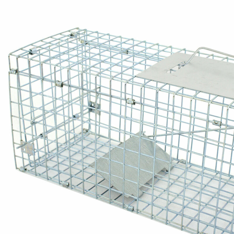 Live Animal Trap Extra Large Rodent Cage Garden Rabbit ...