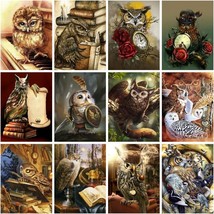 Paint By Numbers Kit Owl Animal DIY Oil Painting On Canvas for Adults Be... - $18.69