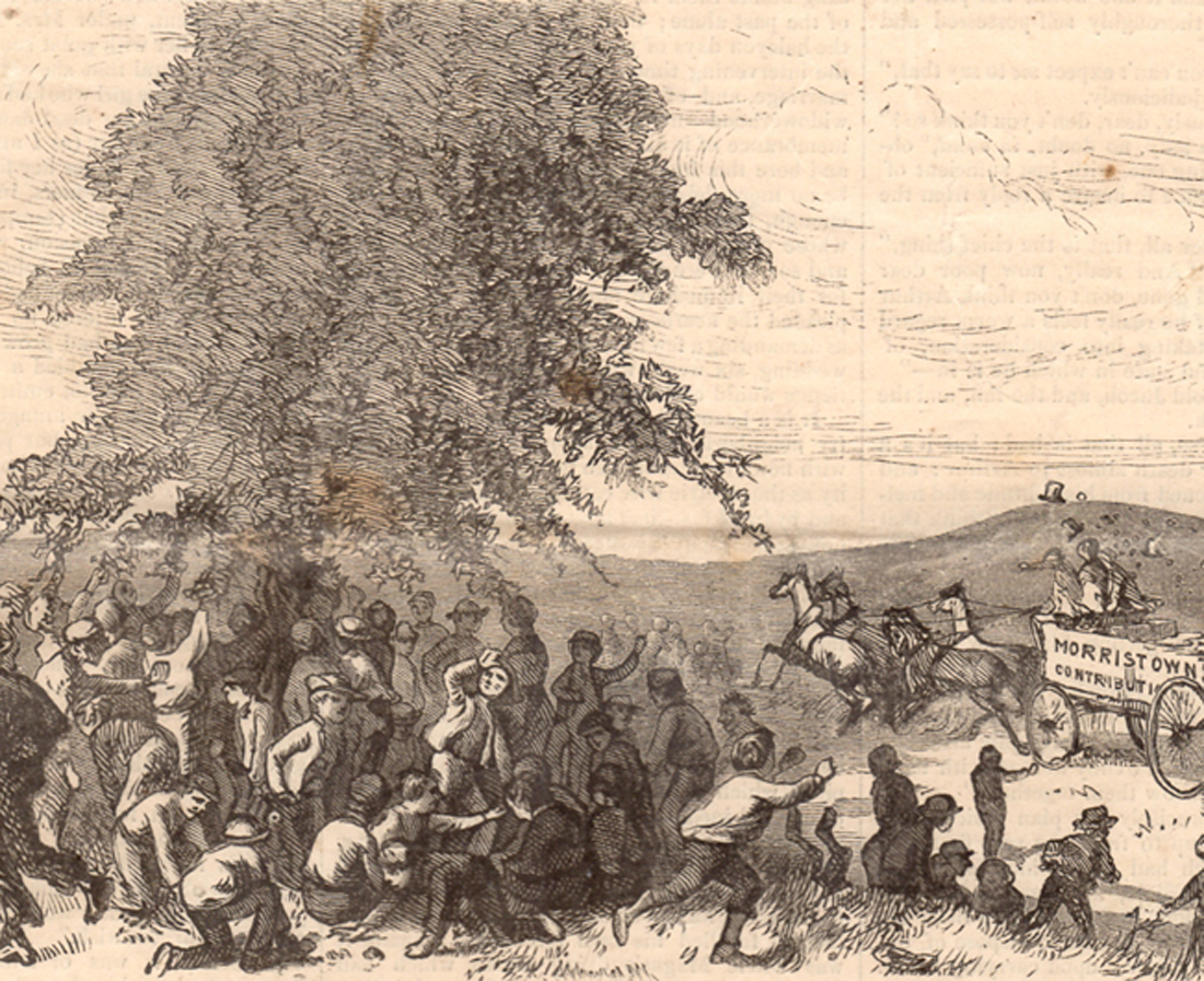Primary image for Raid on the Apple Trees Poor City Children Boonton New Jersey Picnic 1872 