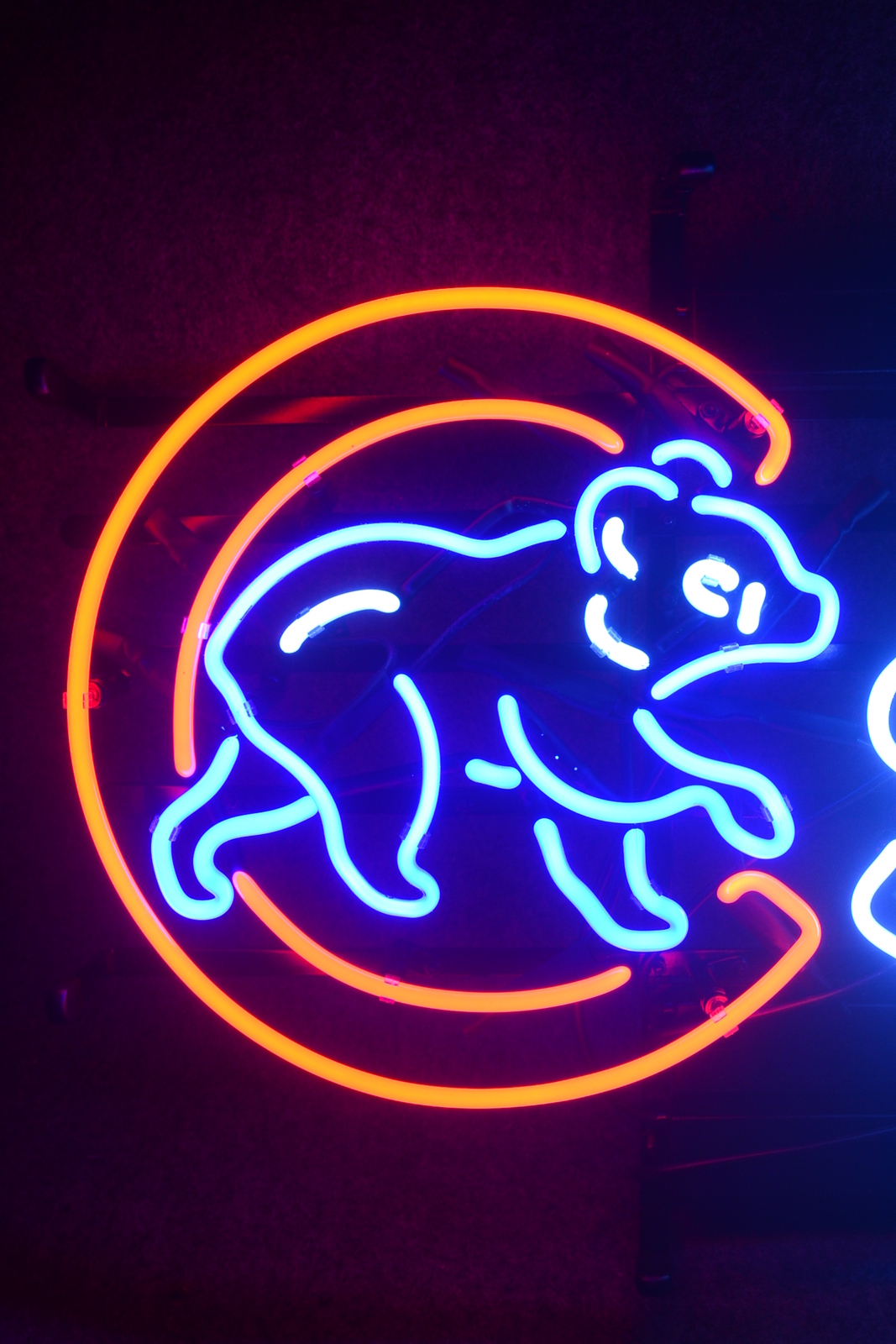 Bear Old Chicago CUB Bar néon logo 18 \ "x 15