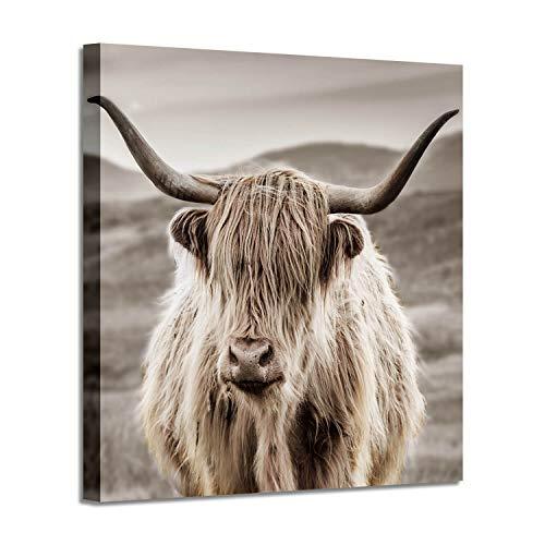 Yak Picture Canvas Wall Art: Bull Artwork Print on Wrapped Canvas ...