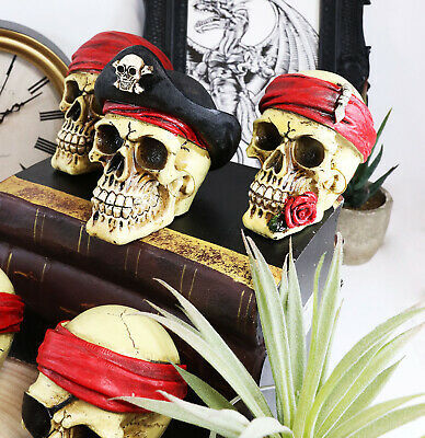 Ebros Set of 4 Skeleton Pirate Captain Marauders Caribbean Sea Skulls Figurine