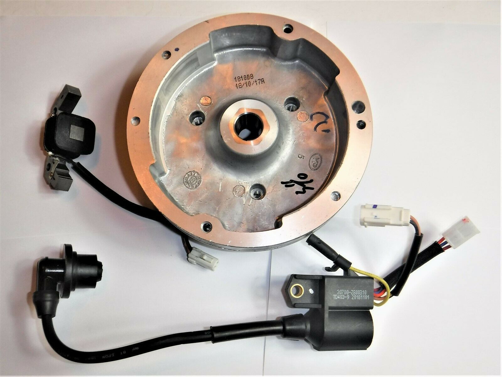 Predator 2000 Watt Inverter Generator Powerhorse Flywheel and Coil