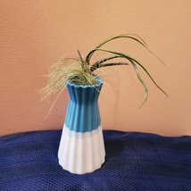 Blue and White Ceramic Vase with Air Plants, Air Plant Gift, Mothers Day