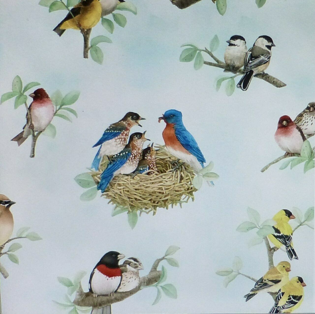 Beautiful Birds Family by Elizabeth Studio Cotton Fabric - Fabric