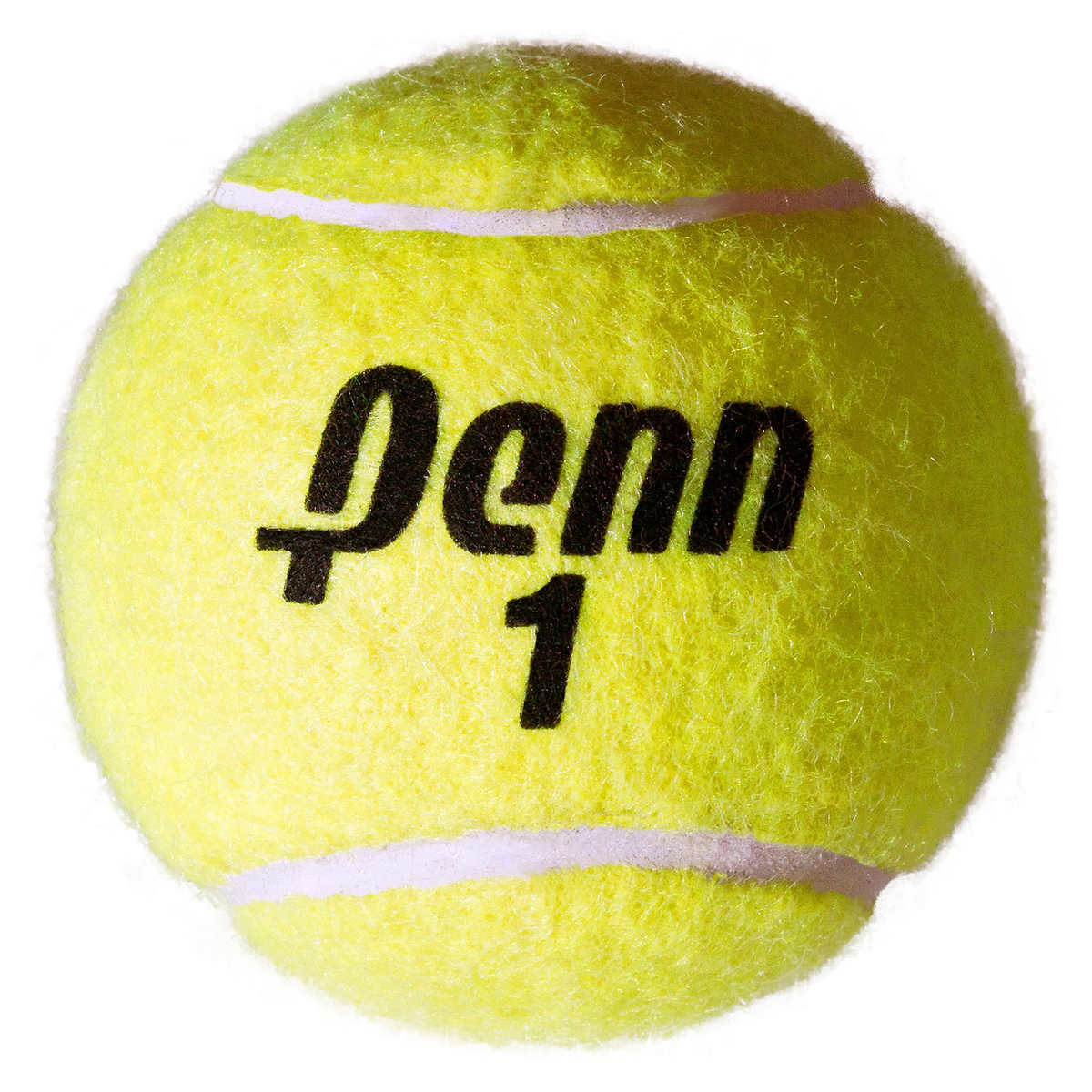 Penn Championship Tennis Balls, 20pack Racquets