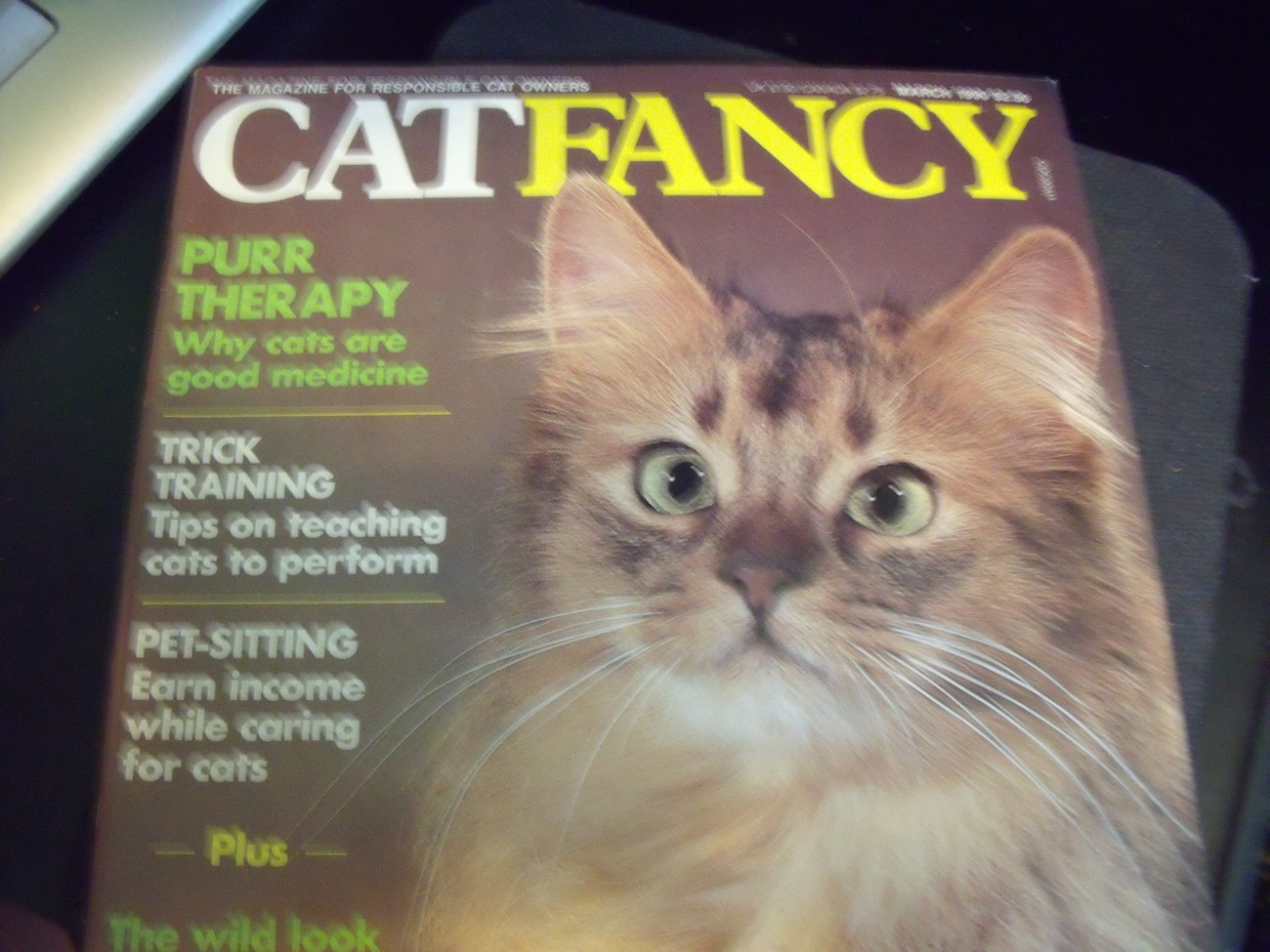 Cat Fancy Magazine Back Issue March 1990 - Magazine Back ...