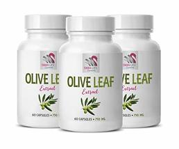 Protects Central Nervous System- Olive Leaf Extract 750mg - antioxidant ... - $39.55