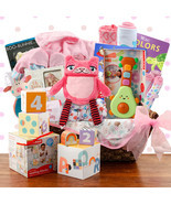 Grand Welcome: Baby Girl Gift Basket - $349.99