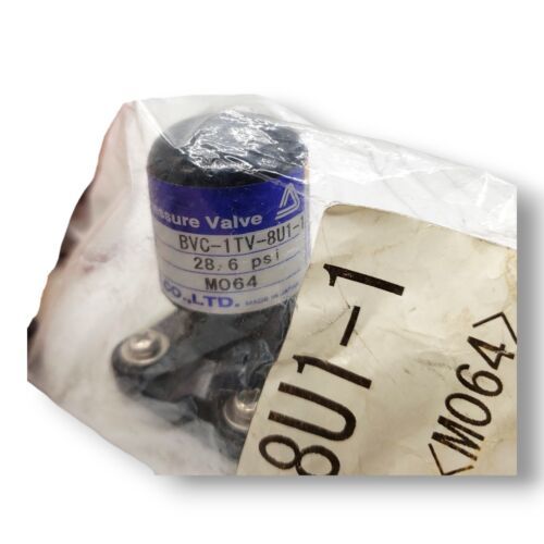 Iwaki LMI Metering Back Pressure Valve and similar items