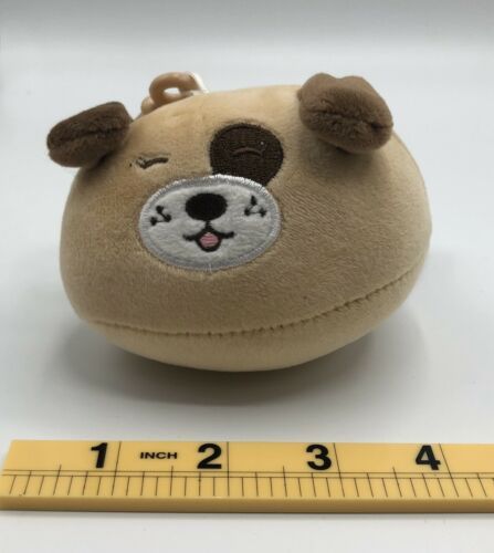 miniso puppy