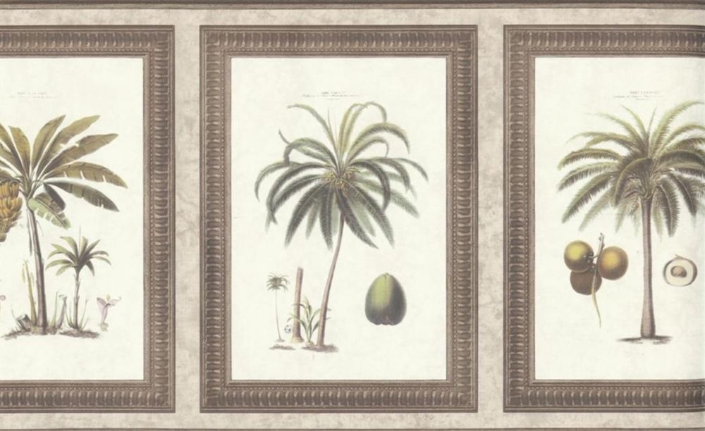 Waverly Wallpaper Border 5506272 Tropical Palm Tree Wallpaper Borders