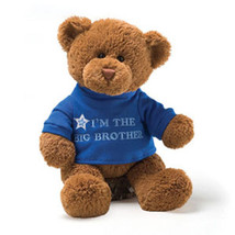 I'm the Big Brother Bear 14" - $14.00