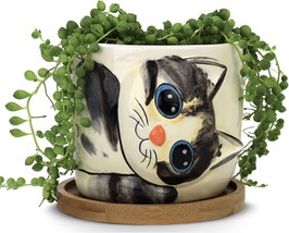 Window Garden Cat Planter - Large Kitty Pot For Indoor House Plants,, Sebby - $39.97