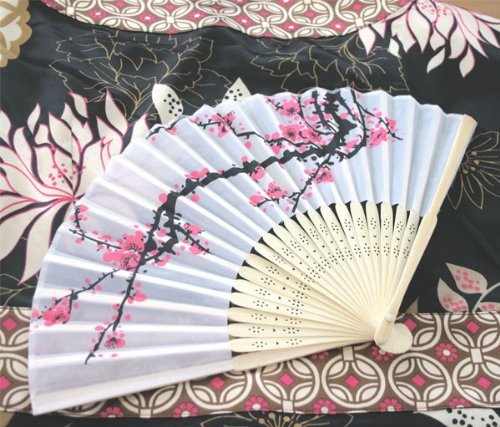 Cherry Blossom Silk Fans (Set of 48)