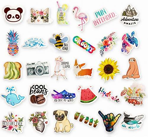 Big 30-Pack Trendy Teen Stickers Pack Series 1 | Cute Aesthetic Vinyl ...