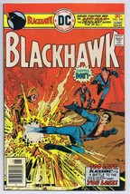 Blackhawk #246 ORIGINAL Vintage 1976 DC Comics
