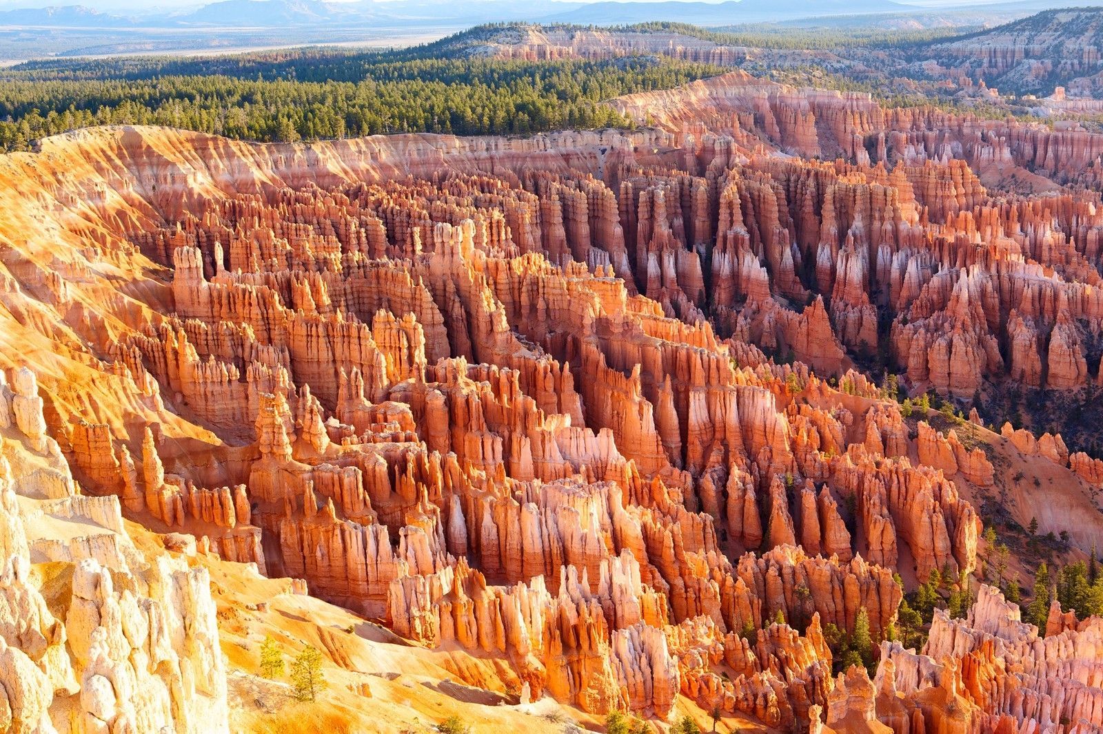 Bryce Canyon Mural Photo Wallpaper Decor Paper Wall Background 3D