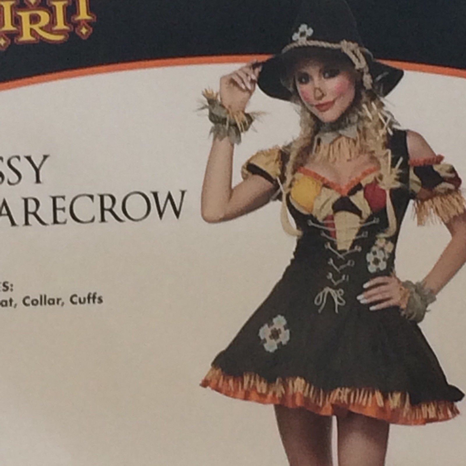 Sassy Scarecrow Women Adult Costume