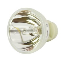 BenQ 5J.JGE05.001 Osram Projector Bare Lamp - $83.99