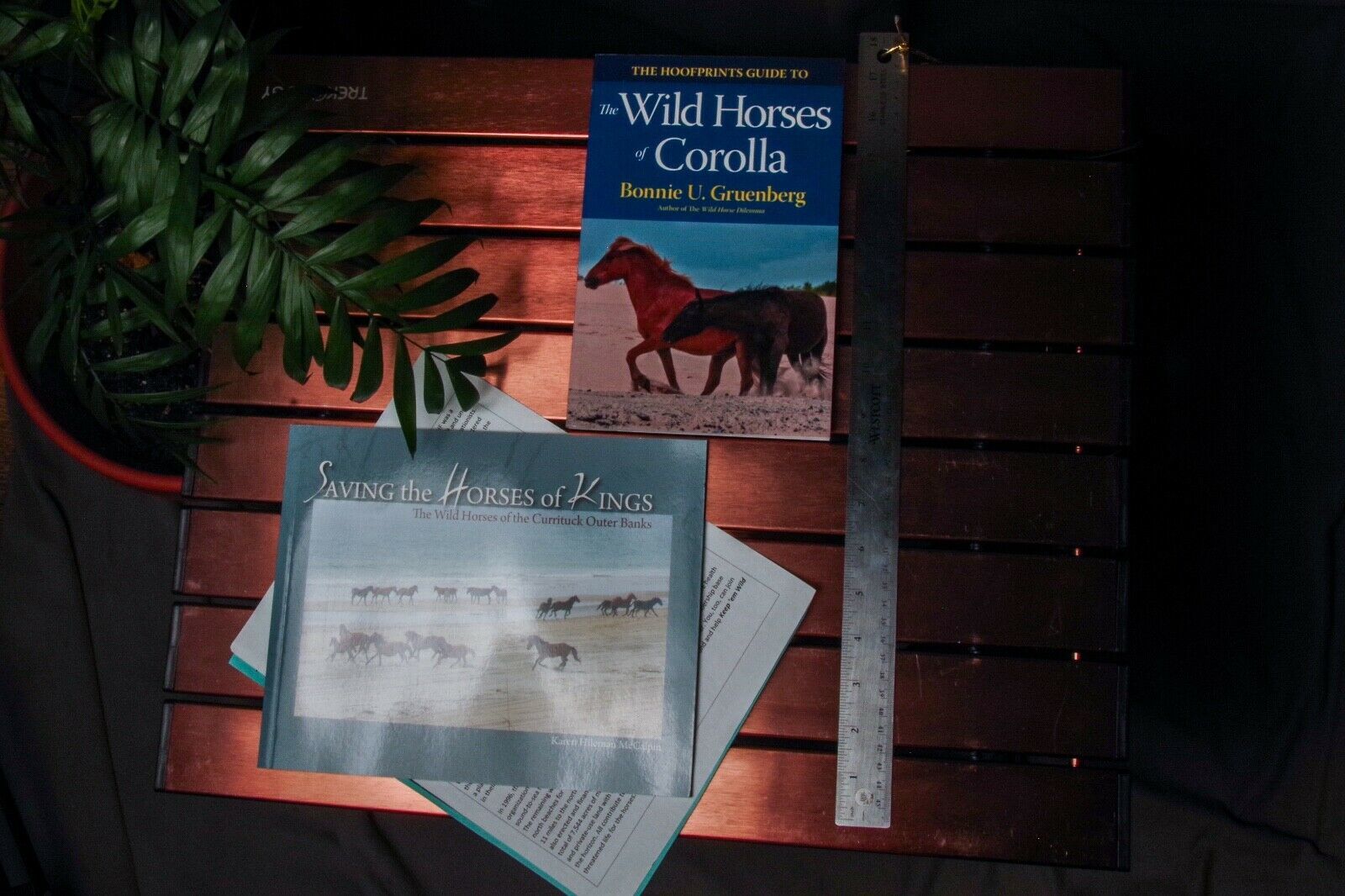 Primary image for Wild Horses of Corolla Bonnie Gruenberg Saving the Horses of Kings Book Set