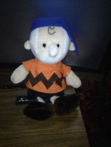 Vintage Charlie Brown Peanuts Plush Doll Determined Productions - $24.75