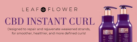 Leaf & Flower Instant Curl Refresh Shampoo & Repair Conditioner Duo, 12 fl oz image 2