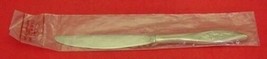 First Frost by Oneida Sterling Silver Regular Knife 9&quot; New - $58.41