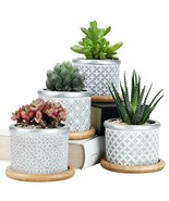 Succulent Planter Pots,Cactus Plant Pot Indoor Small Concrete Herb Windo... - £29.82 GBP