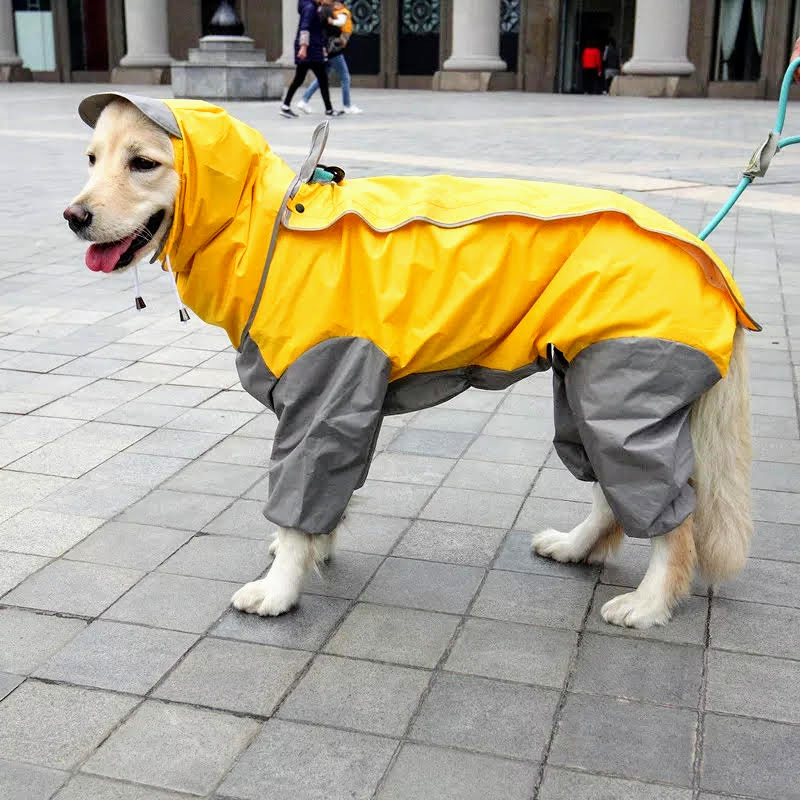 Best Rainproof Dog Coat at Amy Torres blog