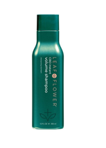 LEAF & FLOWER Instant Volume Shampoo and Condtioner Duo image 4