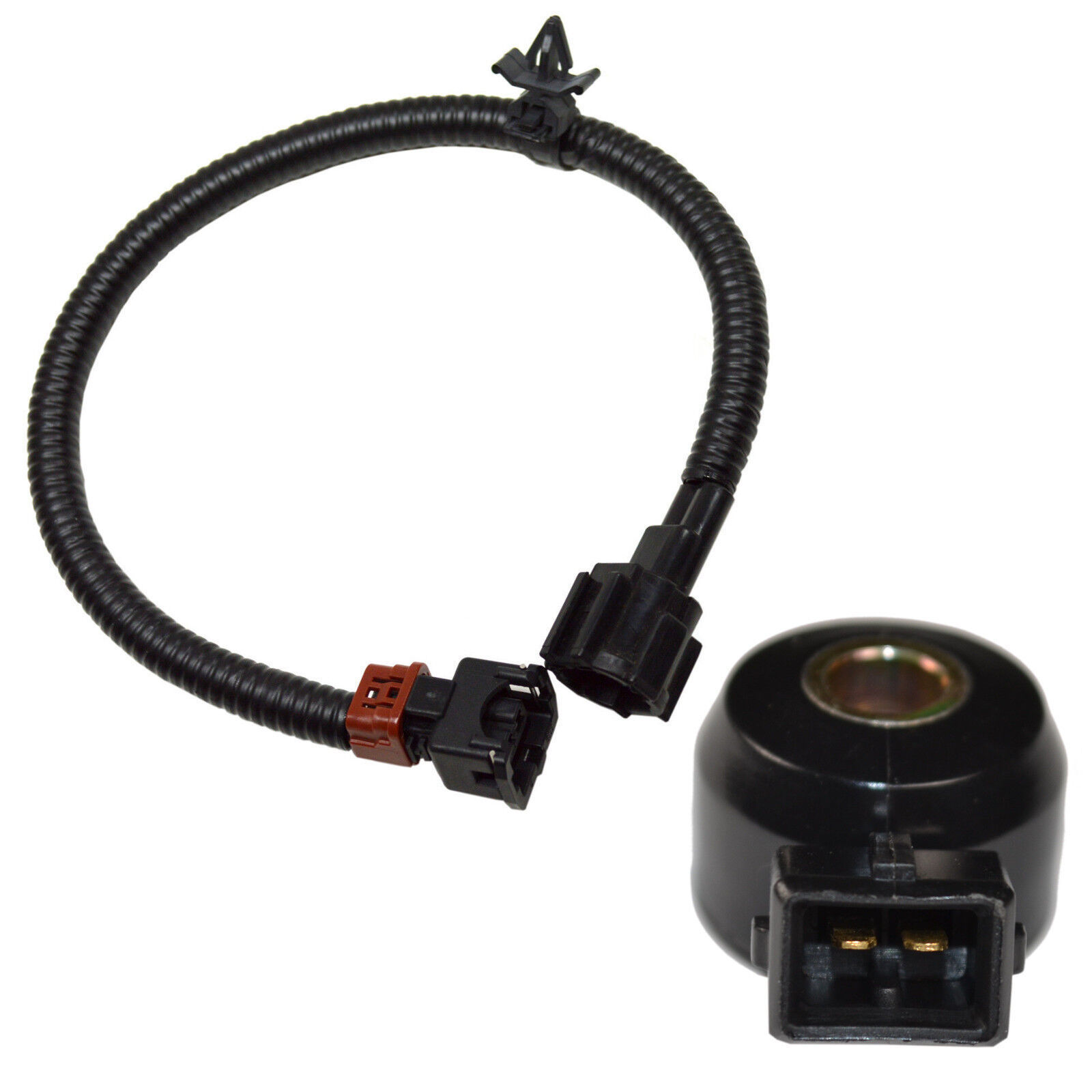 HQRP Knock Sensor & Wiring Harness for Nissan/Infiniti 24079-31U01 ...