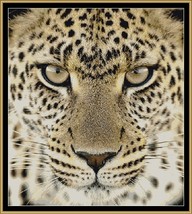 Leopard! ~~ counted tapestry pattern PDF - $15.35