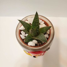 Santa Succulent Planter with Aloe Plant, Holiday Plant Pot, GasterAloe Flow image 2