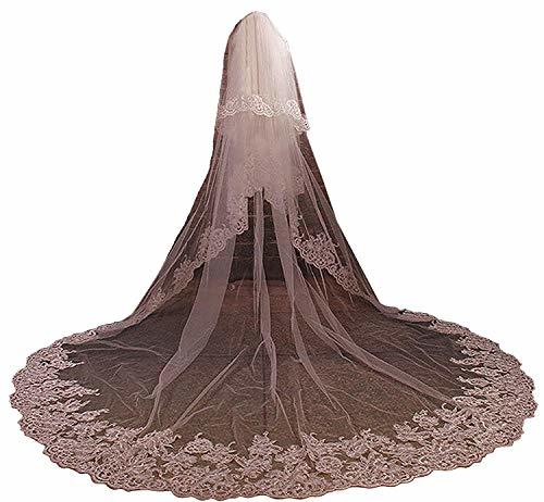cathedral veil with long train