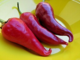 Kalugerista  a spicy and delicious pepper from Macedonia - $5.00
