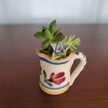 Succulent Arrangement in Tiny Handmade Pitcher, Succulent Planter, House Plant