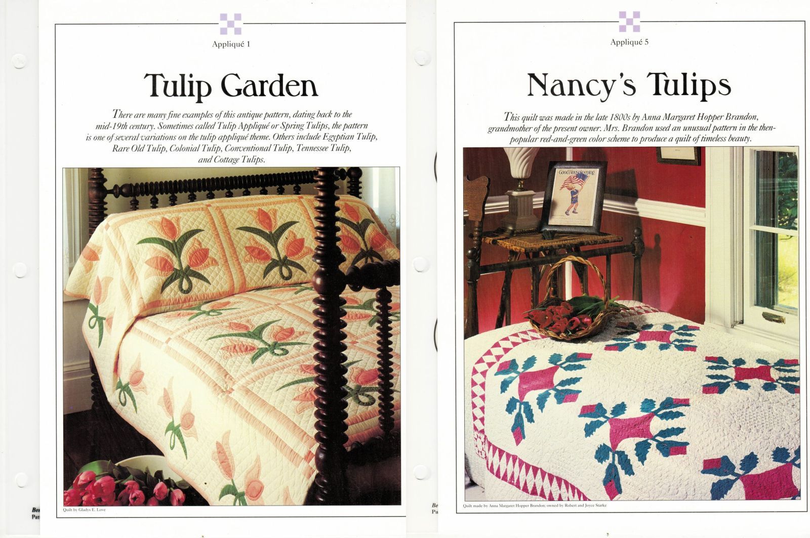 2x Best Loved Quilt Applique Tulip Garden Nancy's Tulip Plastic Template Pattern - Quilting