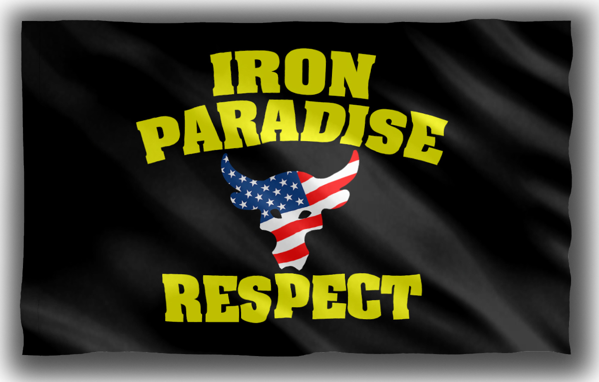 Carolina Panthers Football Team Mascot Flag 90x150cm 3x5ft Fan Best Banner