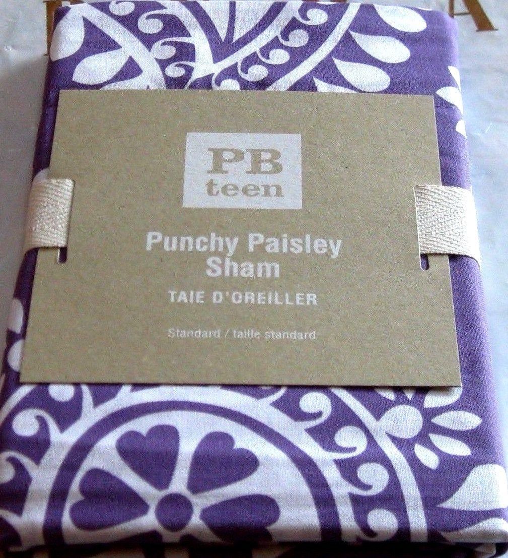 Pottery Barn Teen Sham Punchy Paisley And 9 Similar Items