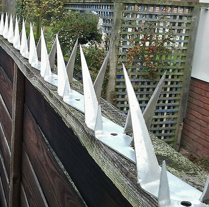 Stainless Steel Security Wall Anti Climb Fencing Spikes Type2  EXPRESS DHL