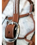 Silver Dots Show Halter with chain lead Leather medium oil Cowboy Pro Ho... - $69.99