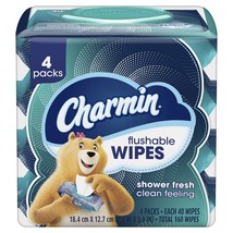 Charmin Flushable Wipes, 4 packs, 40 Wipes Per Pack, 160 Total Wipes image 1