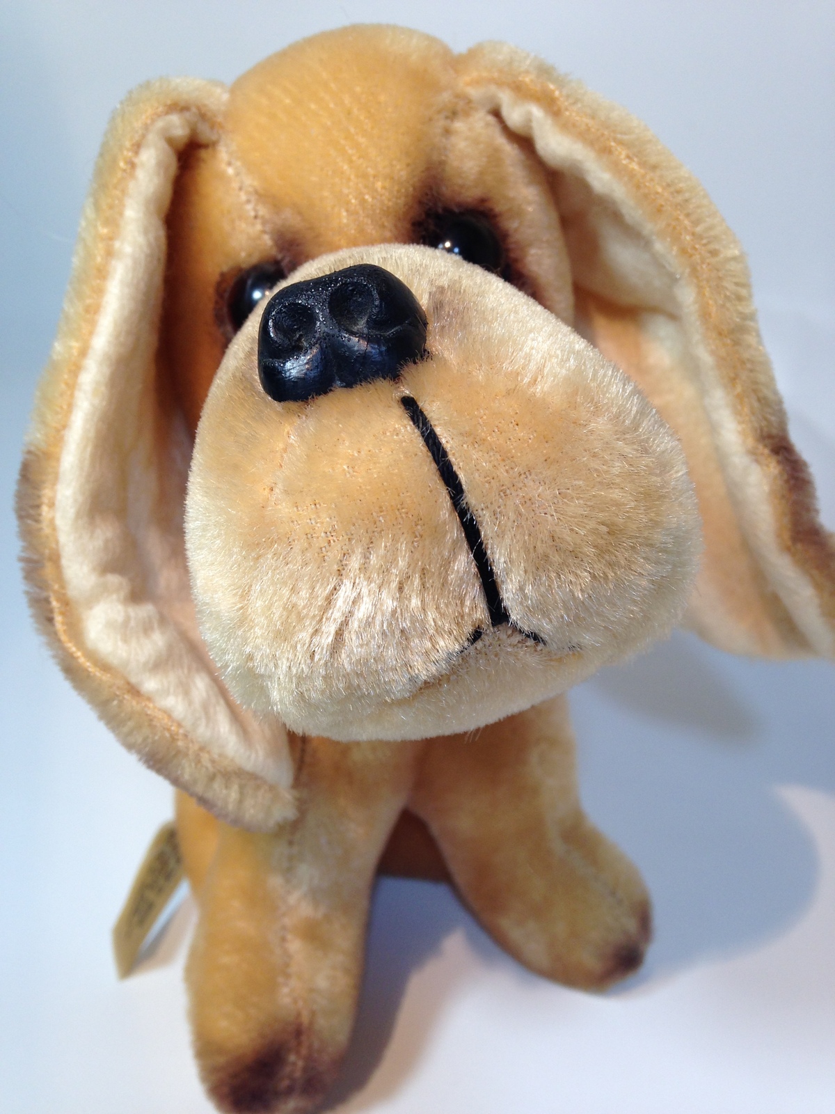 plush basset hound