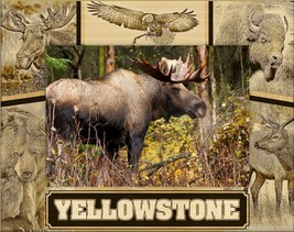 Yellowstone National Park Wildlife Collage Laser Engraved Picture Frrame (5x7)  - $30.99