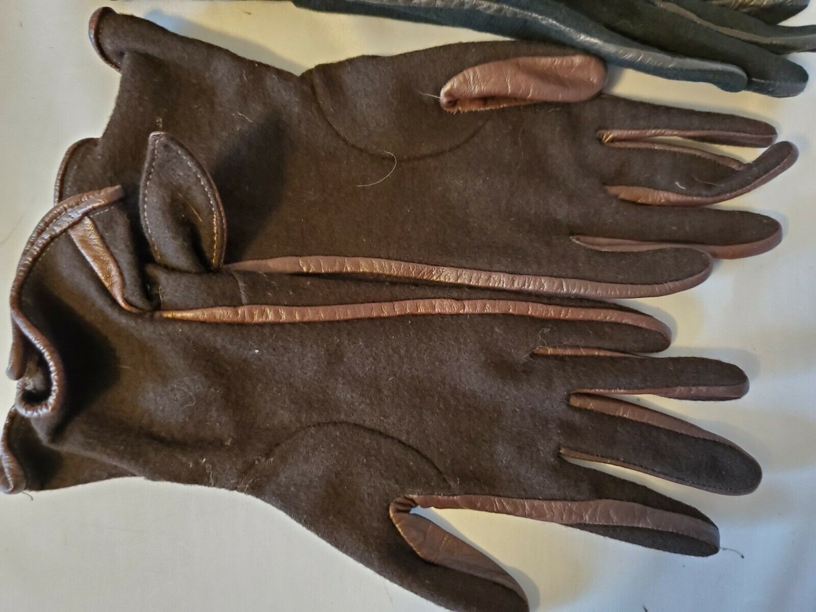 daniel hays gloves